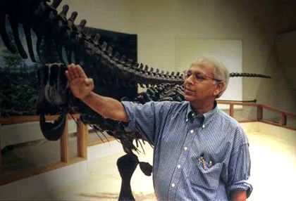 Gallery of Sankar Chatterjee