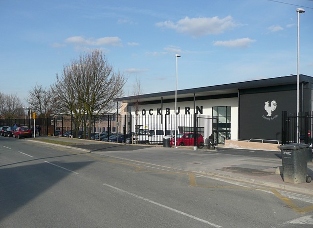 Gallery of Glen Baxter