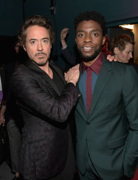 Gallery of Robert Downey Jr.
