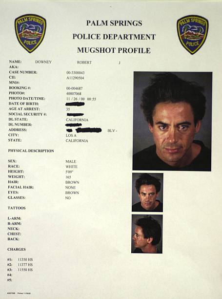 Gallery of Robert Downey Jr.