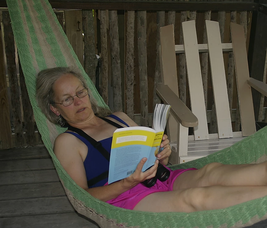 Gallery of Diane Iverson
