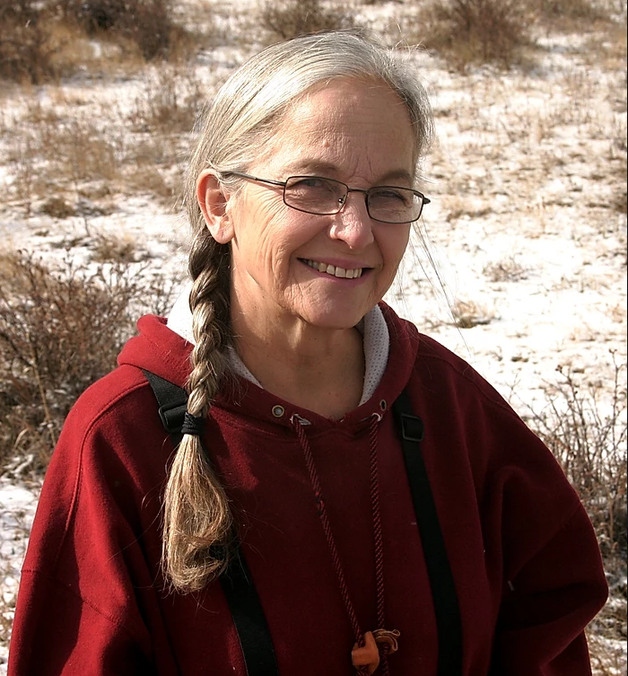Gallery of Diane Iverson