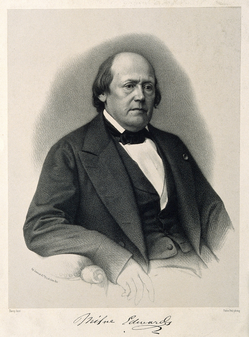 Henri Milne-Edwards