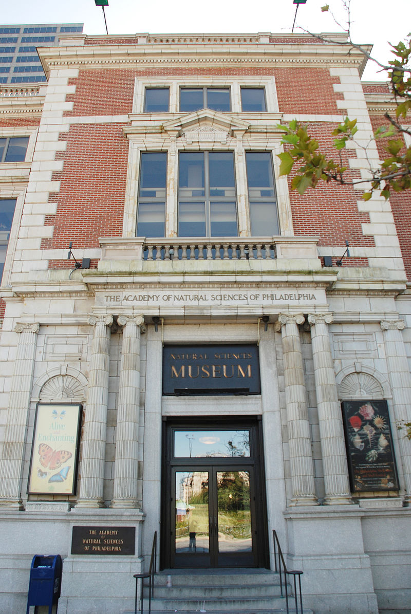 Gallery of Horatio Wood Jr.
