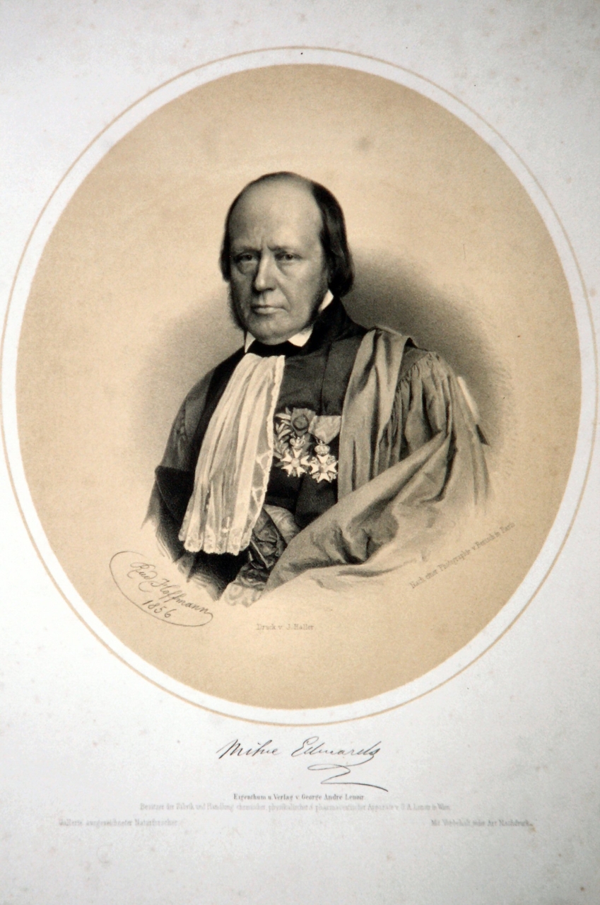 Gallery of Henri Milne-Edwards