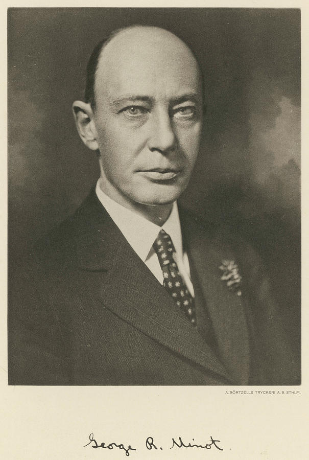 Gallery of George Minot