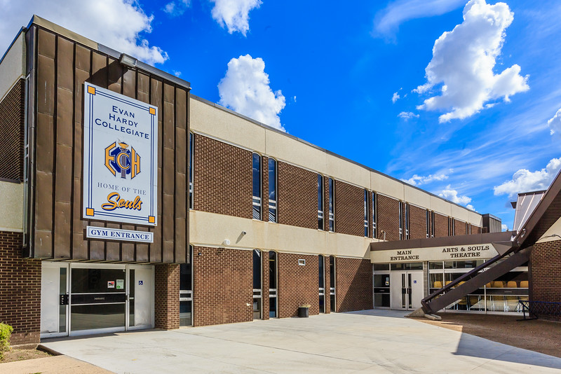 Gallery of Leith Davis