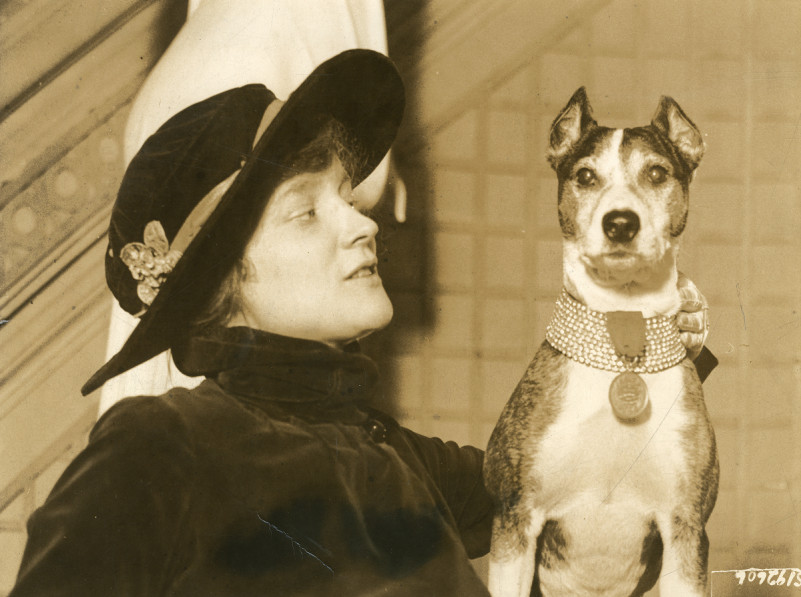 Gallery of Peggy Wood