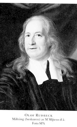 Gallery of Olaus Rudbeck
