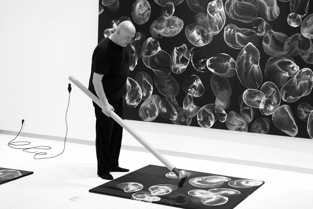 Gallery of Jiří Dokoupil