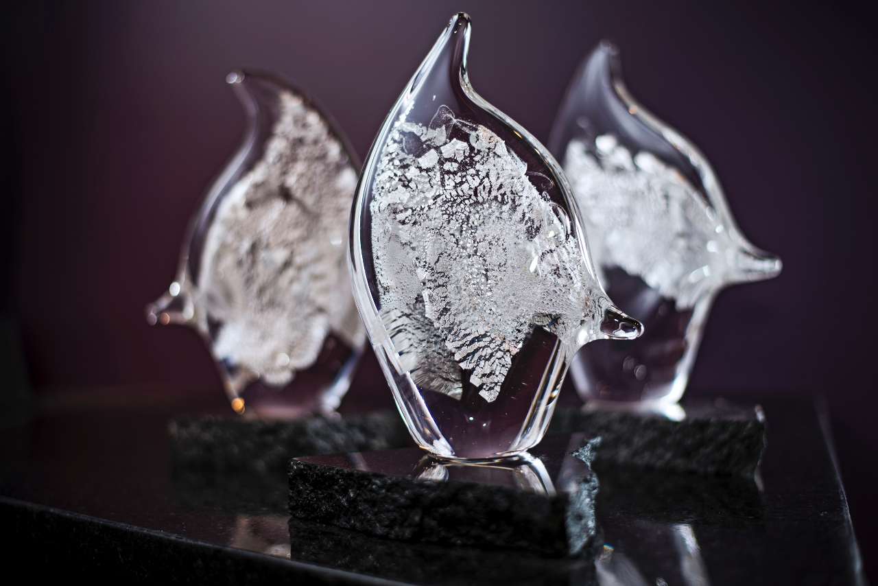 Minnesota Book Award
