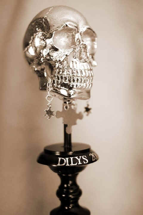 Dilys Award