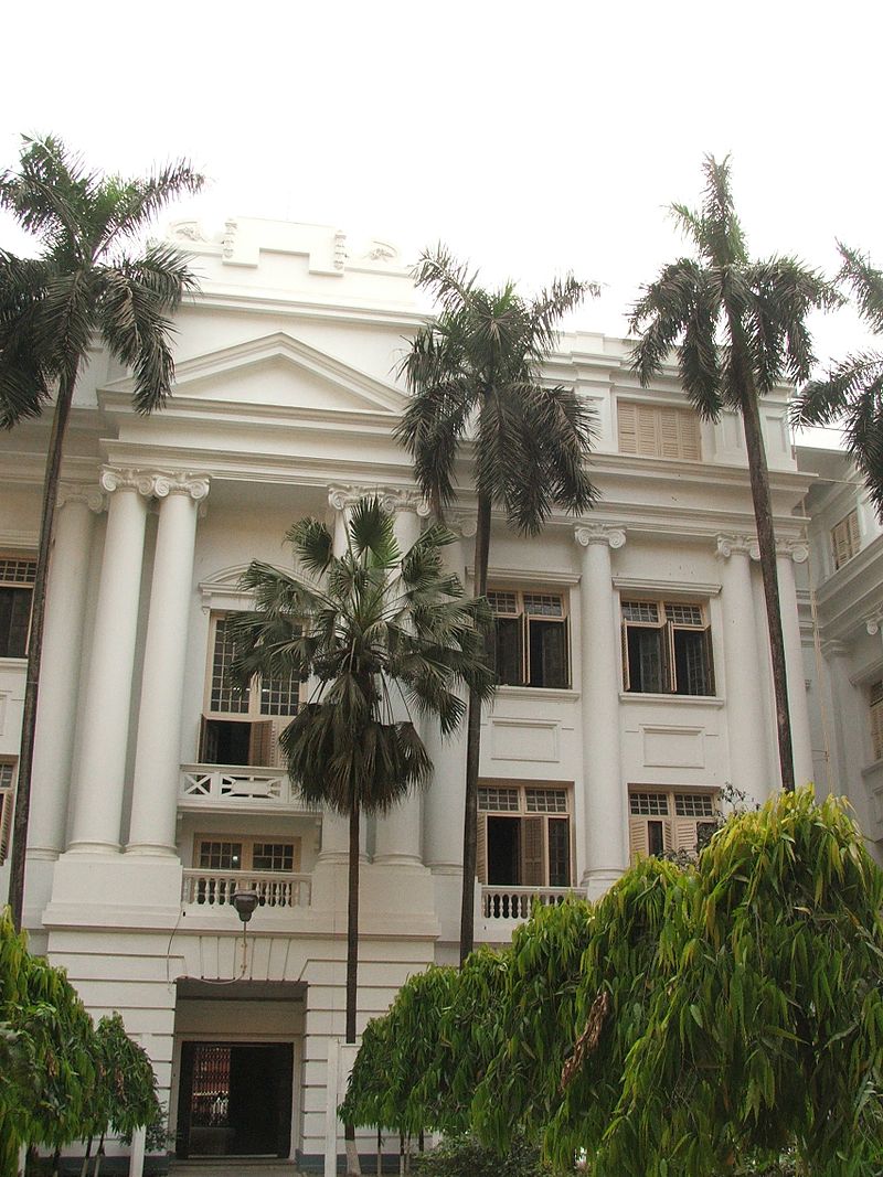 Gallery of Syed Ali