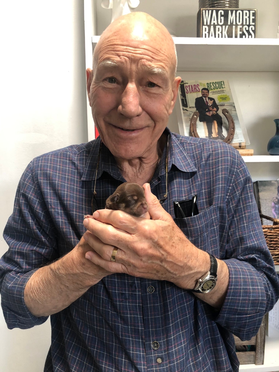 Gallery of Patrick Stewart