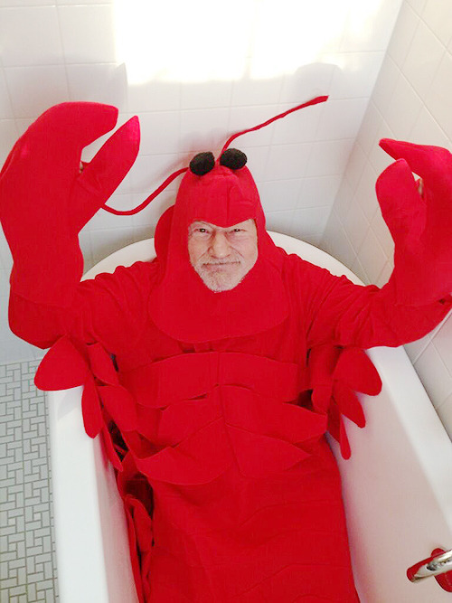 Gallery of Patrick Stewart