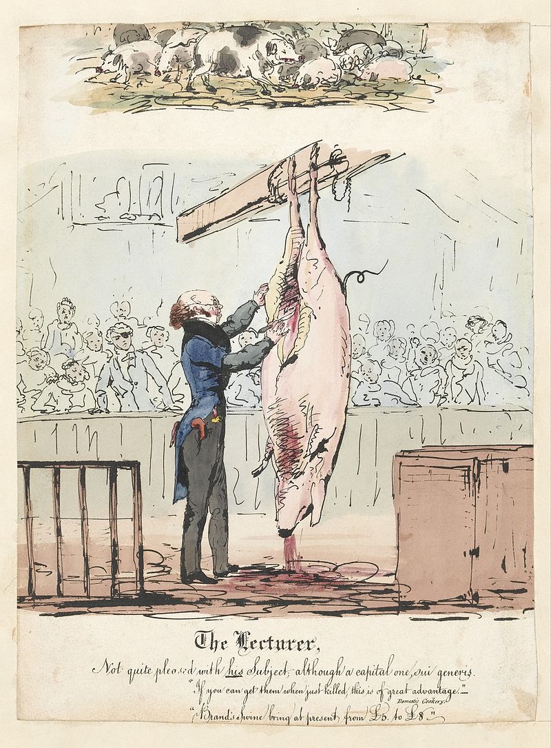 Gallery of Robert Knox