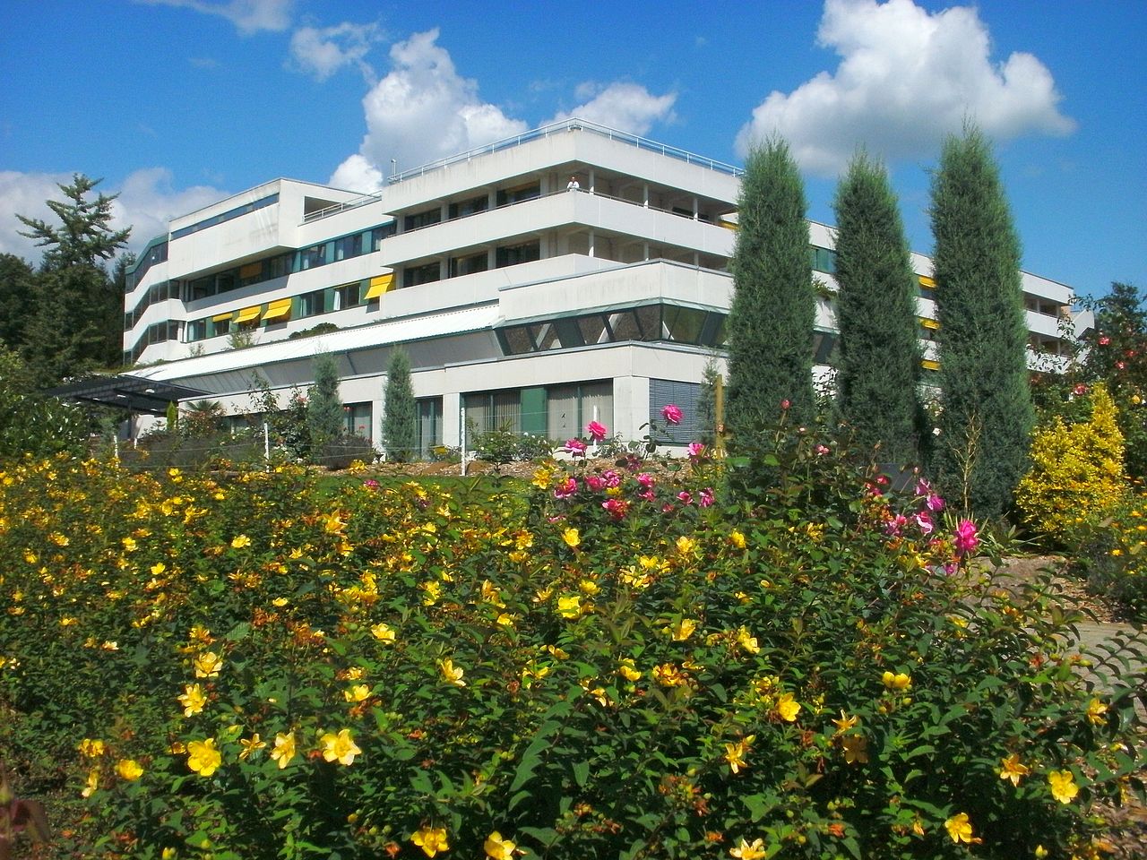 Gallery of Udo Schwehr