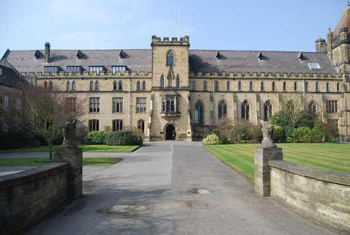 Gallery of Robert Robins
