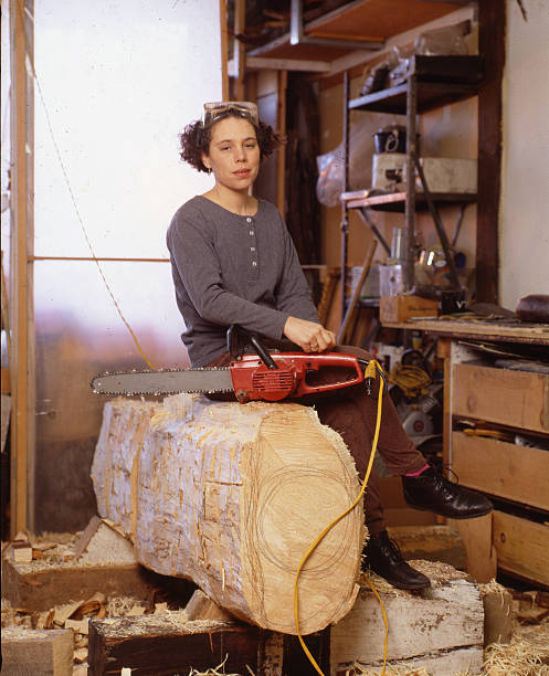 Career period of Alison Saar in career