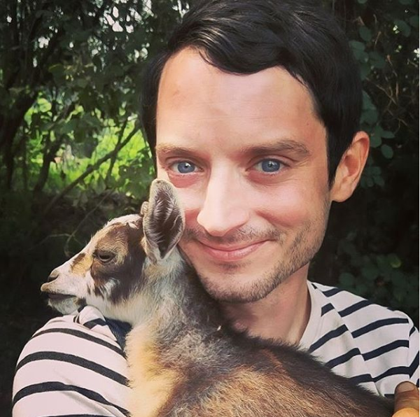Gallery of Elijah Wood