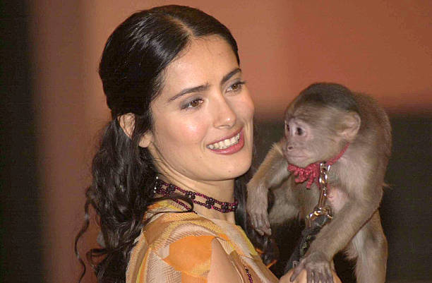 Gallery of Salma Hayek