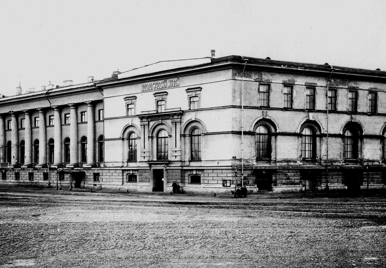 Gallery of Modest Nikolayevich Bogdanov