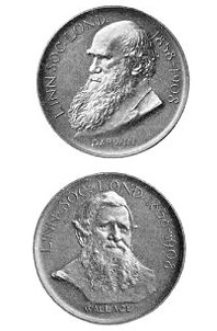 Darwin-Wallace Medal