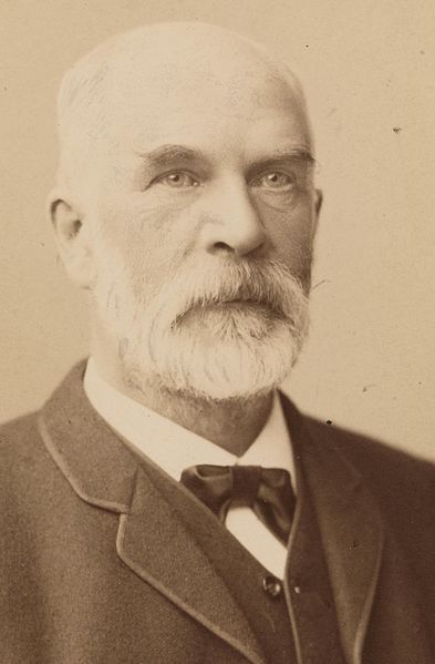 colleague: Cato Maximilian Guldberg