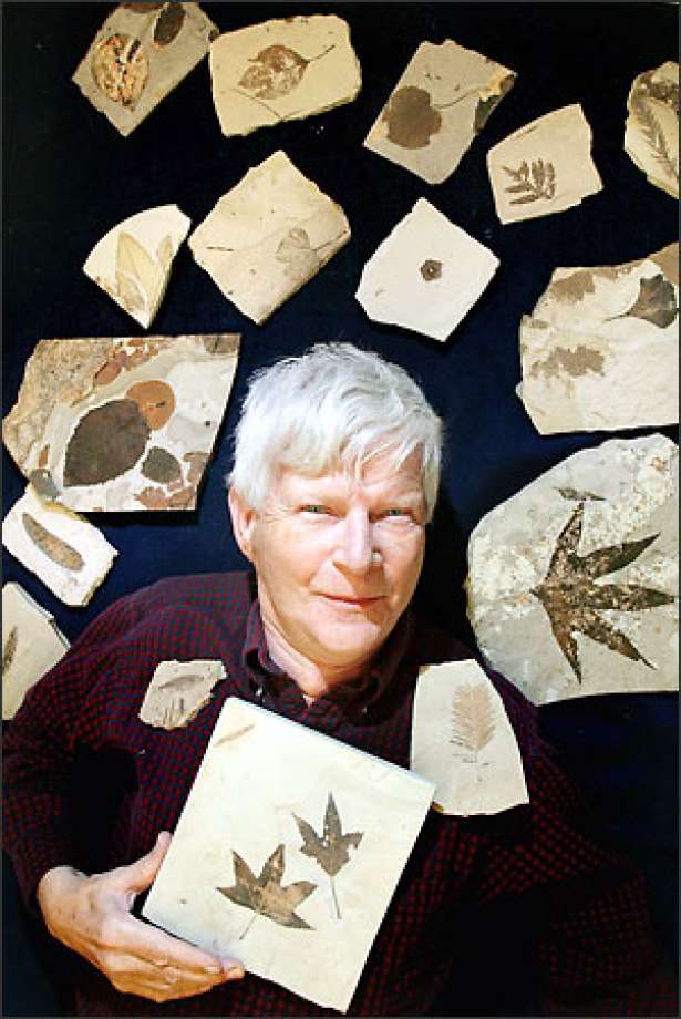 Wesley Wehr
