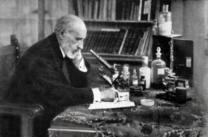Gallery of Santiago y Cajal