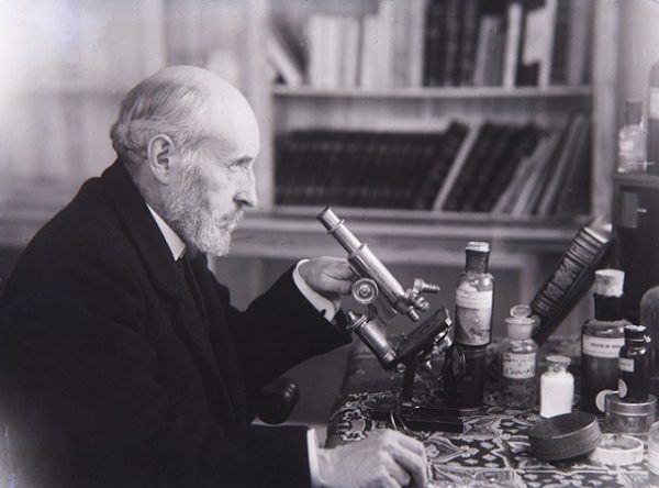 Gallery of Santiago y Cajal