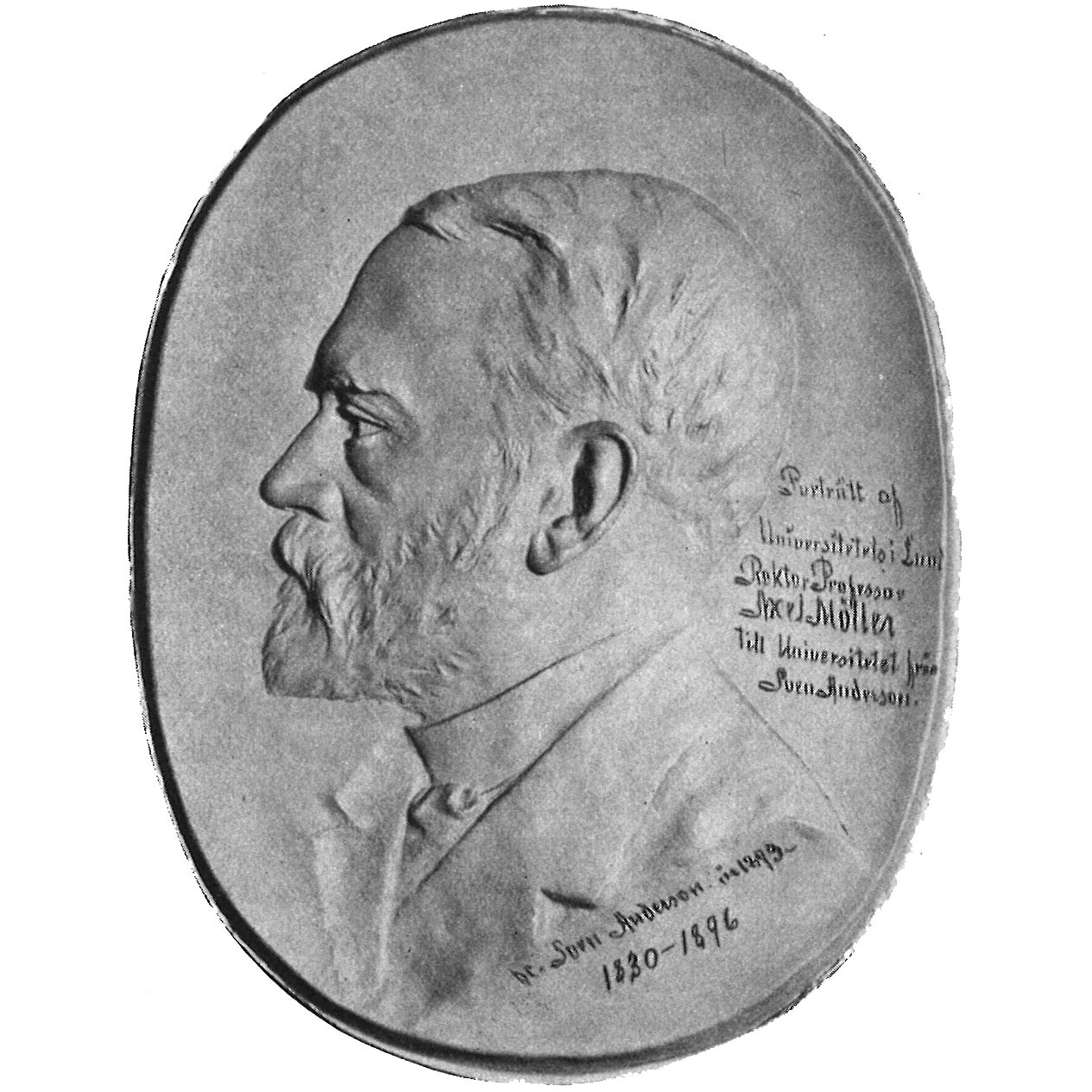 Gallery of Axel Möller