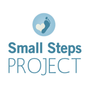 Small Steps Project