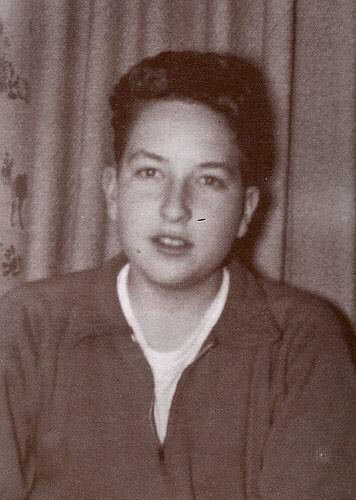 Gallery of Bob Dylan