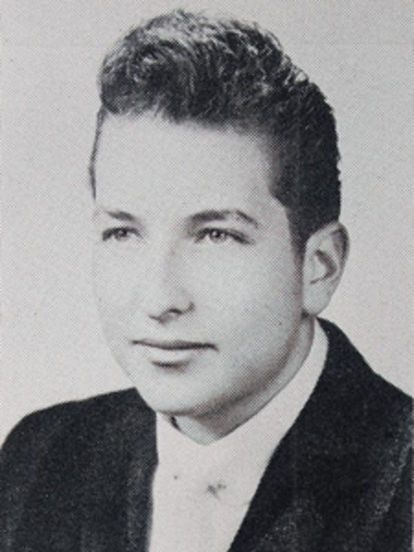 Gallery of Bob Dylan