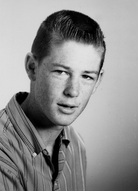 Gallery of Brian Wilson