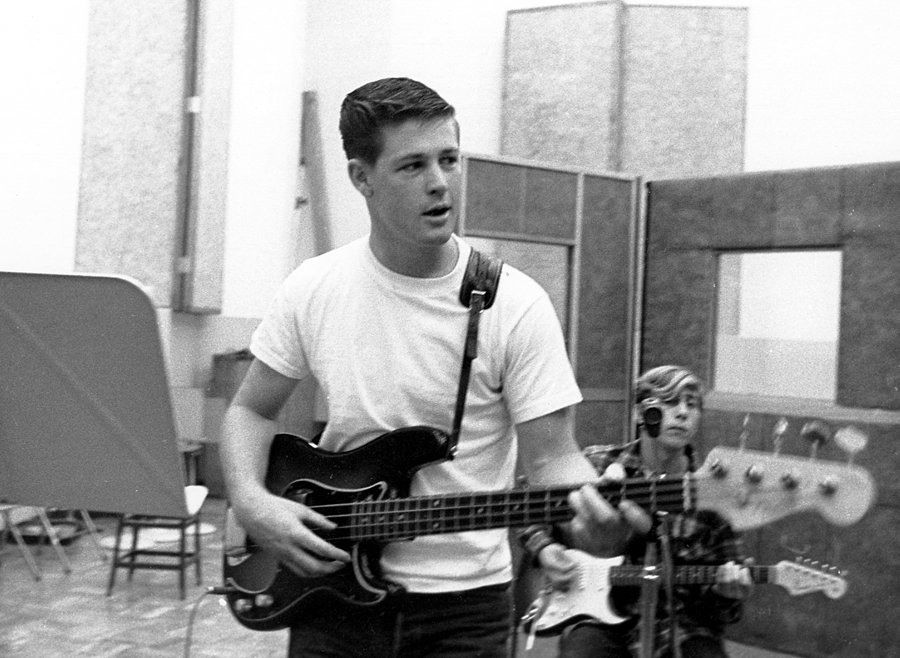 Gallery of Brian Wilson