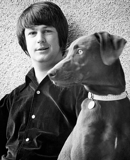 Gallery of Brian Wilson