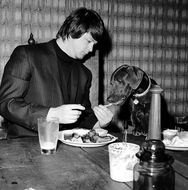 Gallery of Brian Wilson