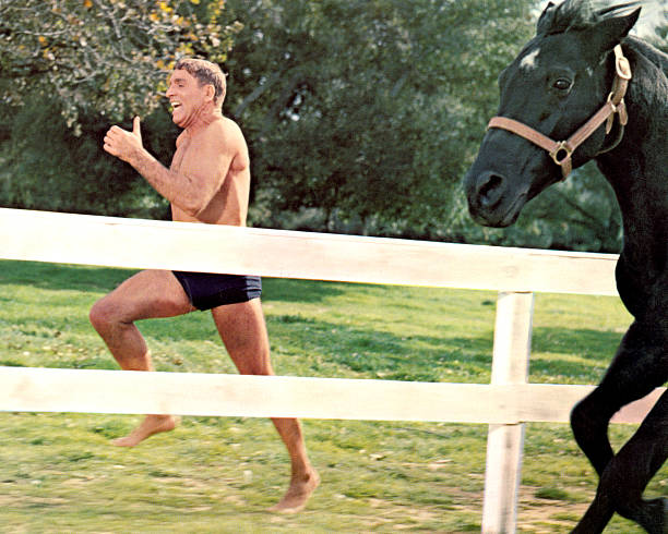 Gallery of Burt Lancaster
