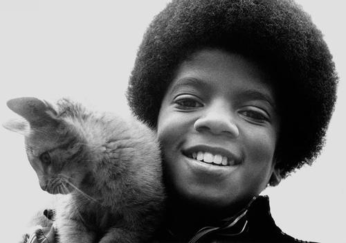 Gallery of Michael Jackson