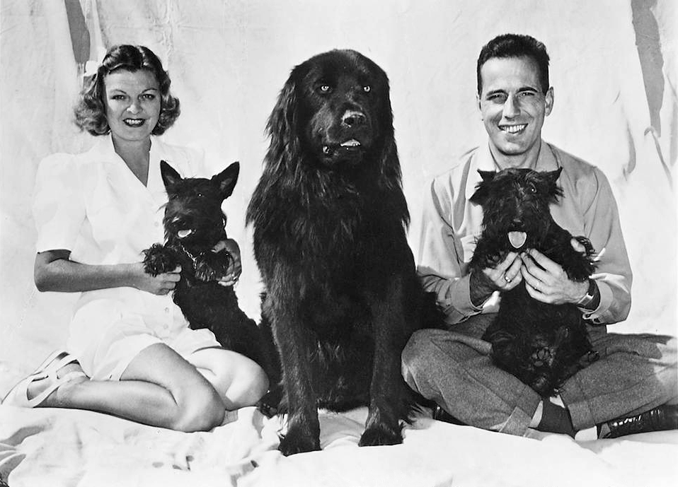Gallery of Humphrey Bogart