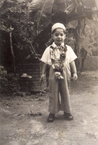 Gallery of Freddie Mercury