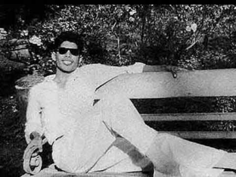 Gallery of Freddie Mercury