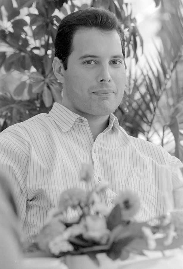 Gallery of Freddie Mercury