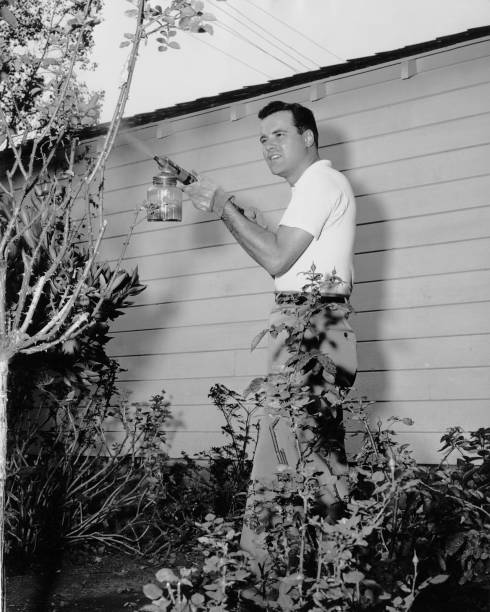Gallery of Jack Lemmon