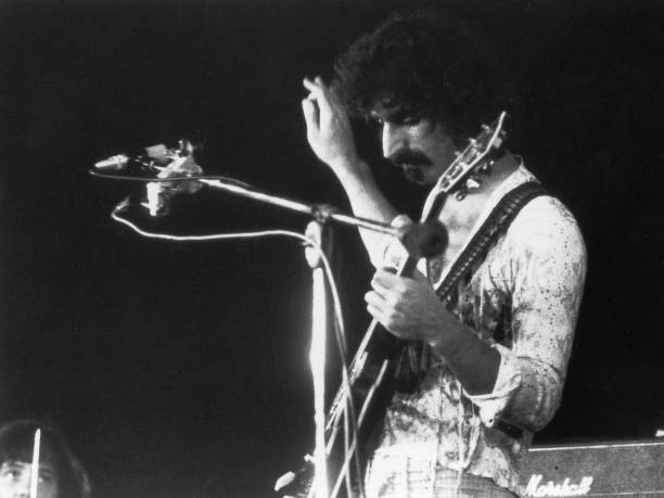 Gallery of Frank Zappa