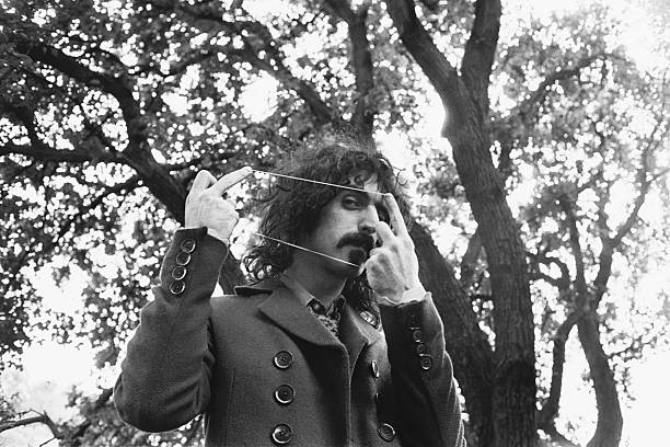 Gallery of Frank Zappa