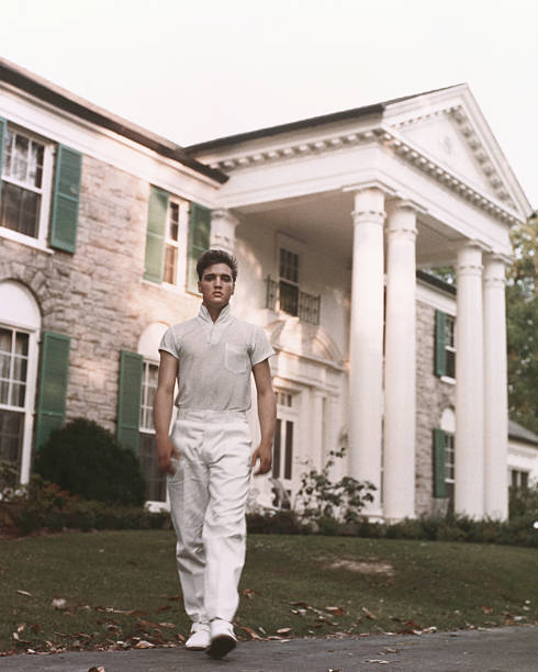 Career period of Elvis Presley in career
