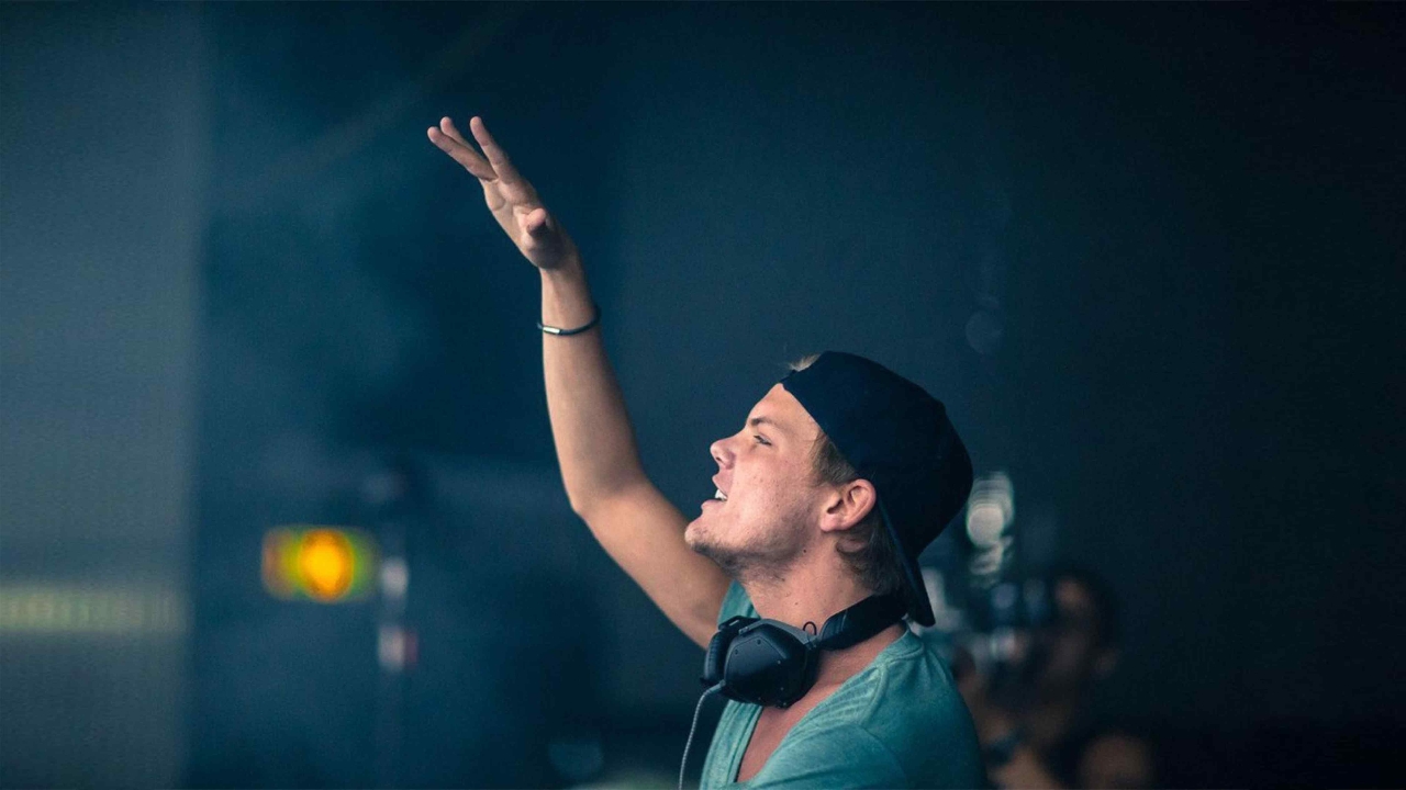 Gallery of Tim Bergling